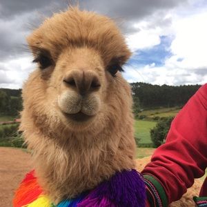 Meet your Posher, Josh